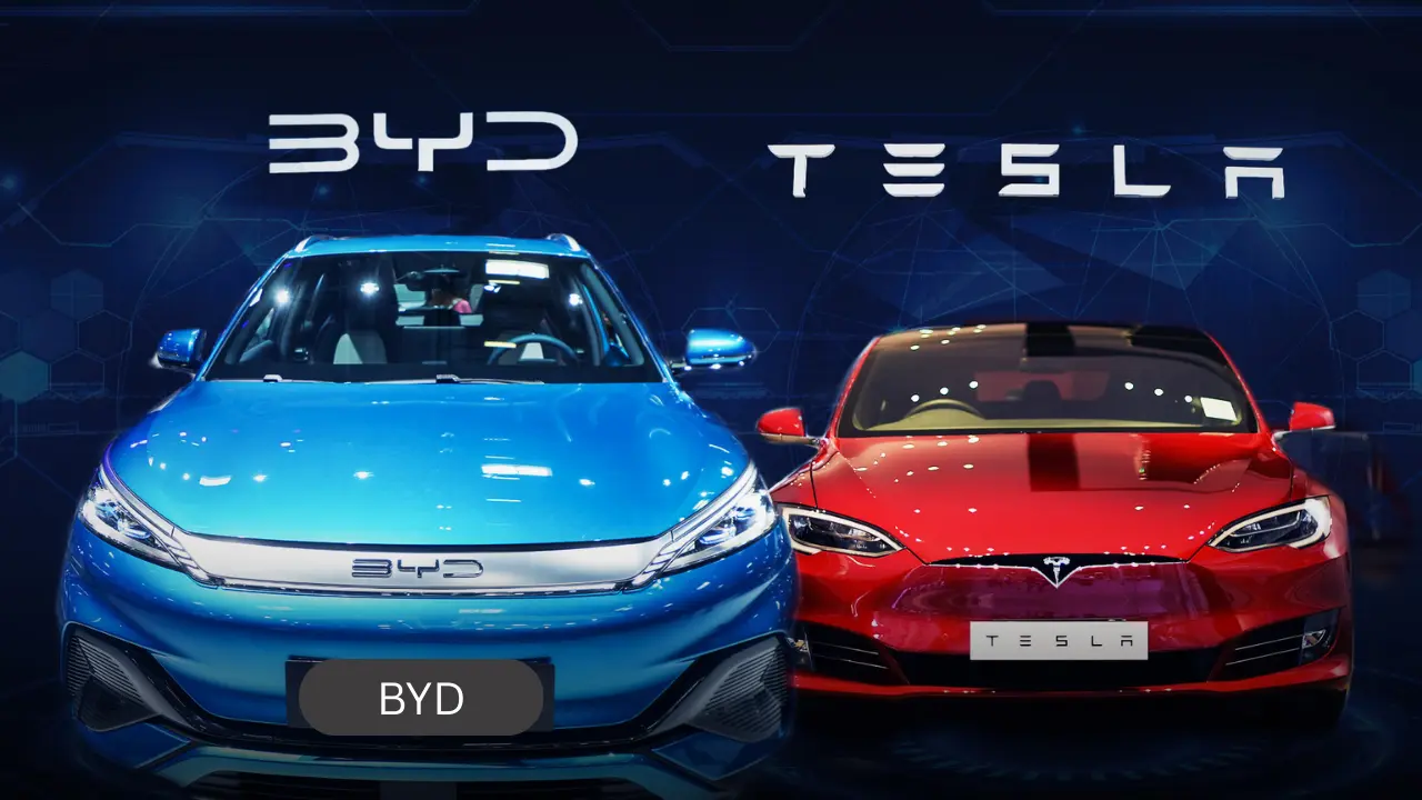 BYD vs Tesla EV Race